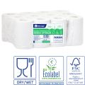 MERIDA OPTIMUM MINI - paper towel in roll, white, 2 -ply, recycled paper, diameter 13.5 cm, 60 m (12 rolls / pack.)
